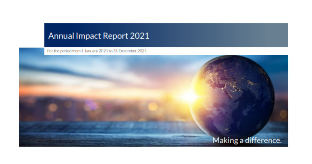 Blue Earth Capital’s Annual Impact Report 2021